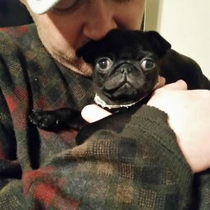 Meet your Posher, Joe